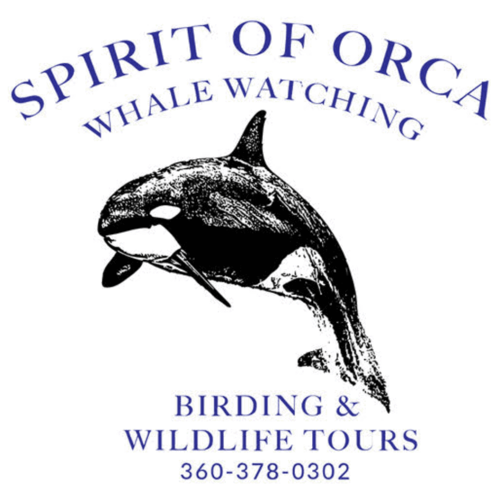 Logo Image (min 800x800px, max 1500x1500px)