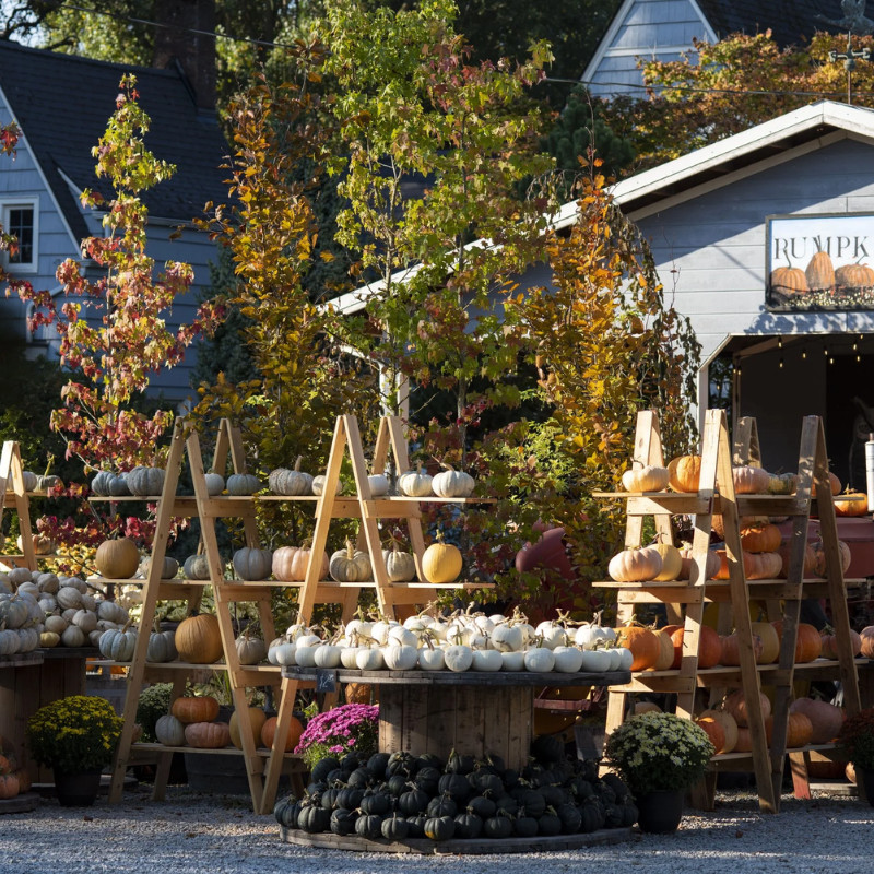 Gordon Skagit Farms Image