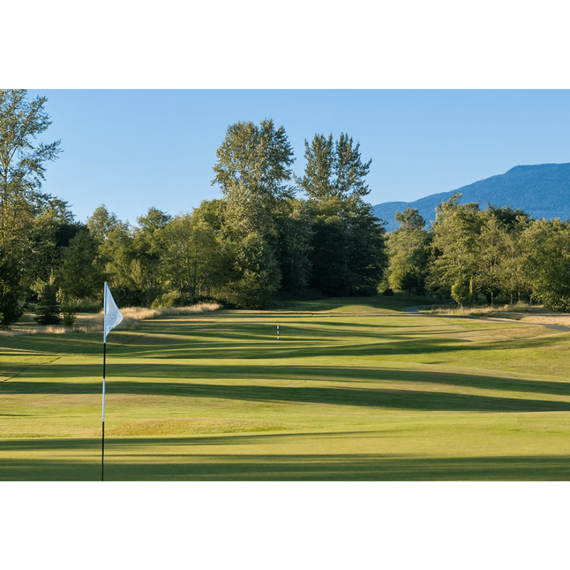 Carousel Image 1 (min 800x800px, max 1500x1500px)