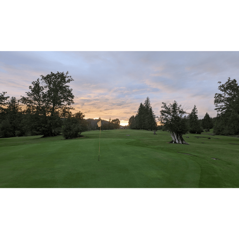 Carousel Image 5 (min 800x800px, max 1500x1500px)