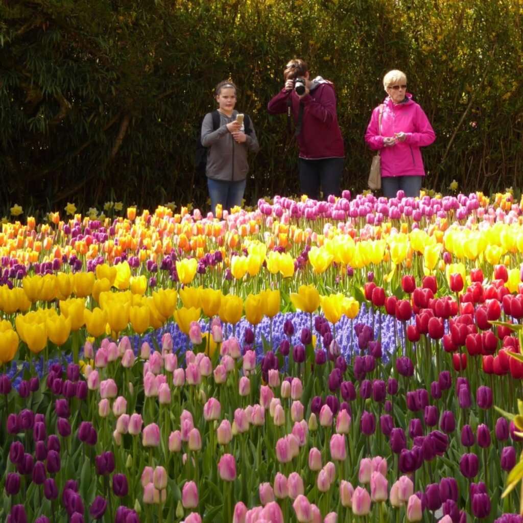 Carousel Image 4 (min 800x800px, max 1500x1500px)