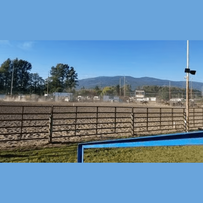 Carousel Image 3 (min 800x800px, max 1500x1500px)