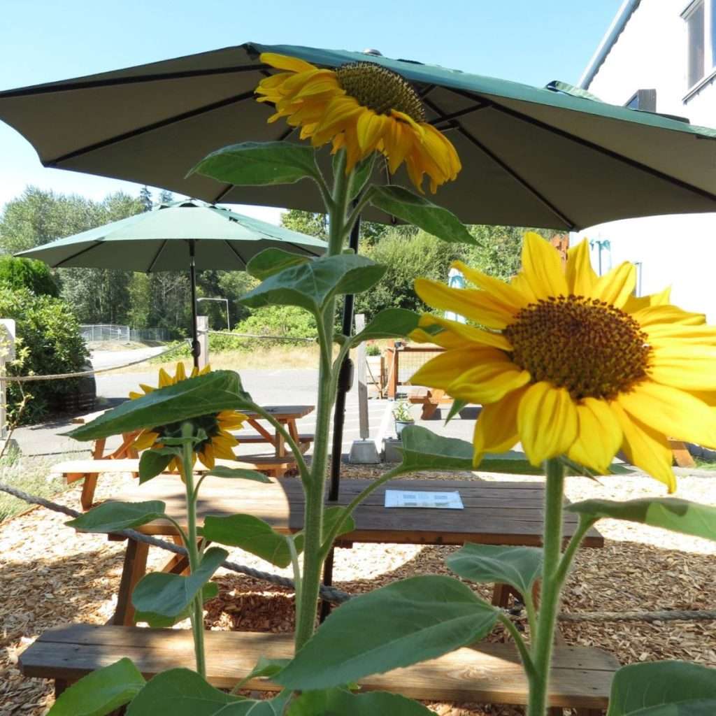 Carousel Image 4 (min 800x800px, max 1500x1500px)