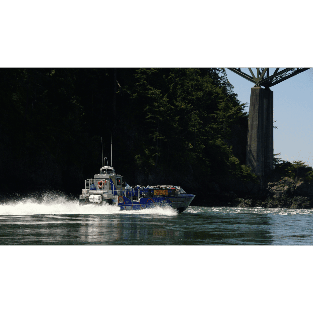 Carousel Image 4 (min 800x800px, max 1500x1500px)