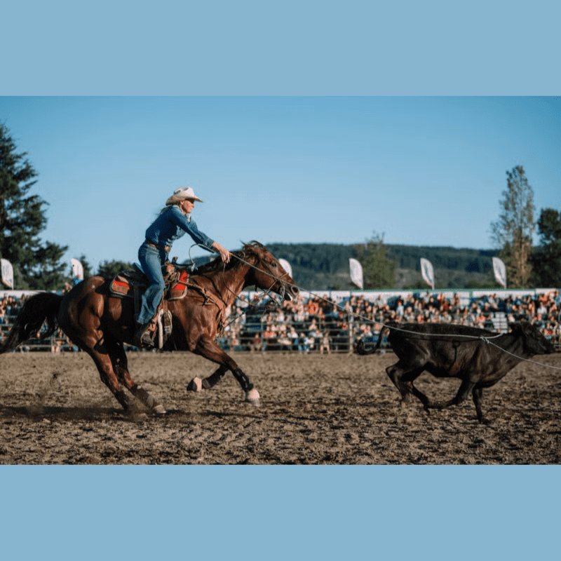 Carousel Image 4 (min 800x800px, max 1500x1500px)