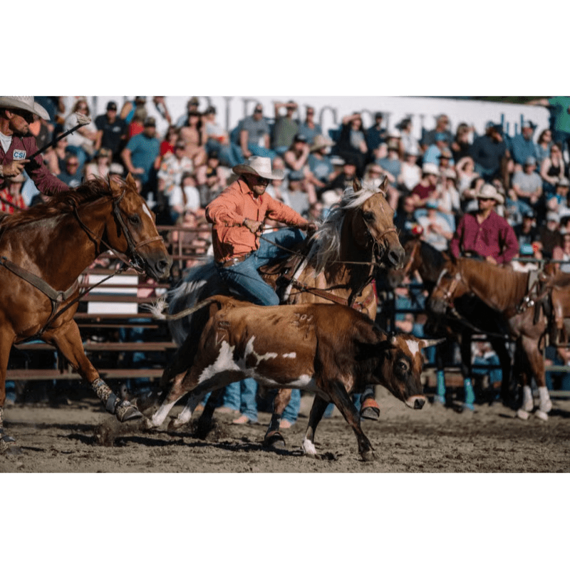 Carousel Image 2 (min 800x800px, max 1500x1500px)