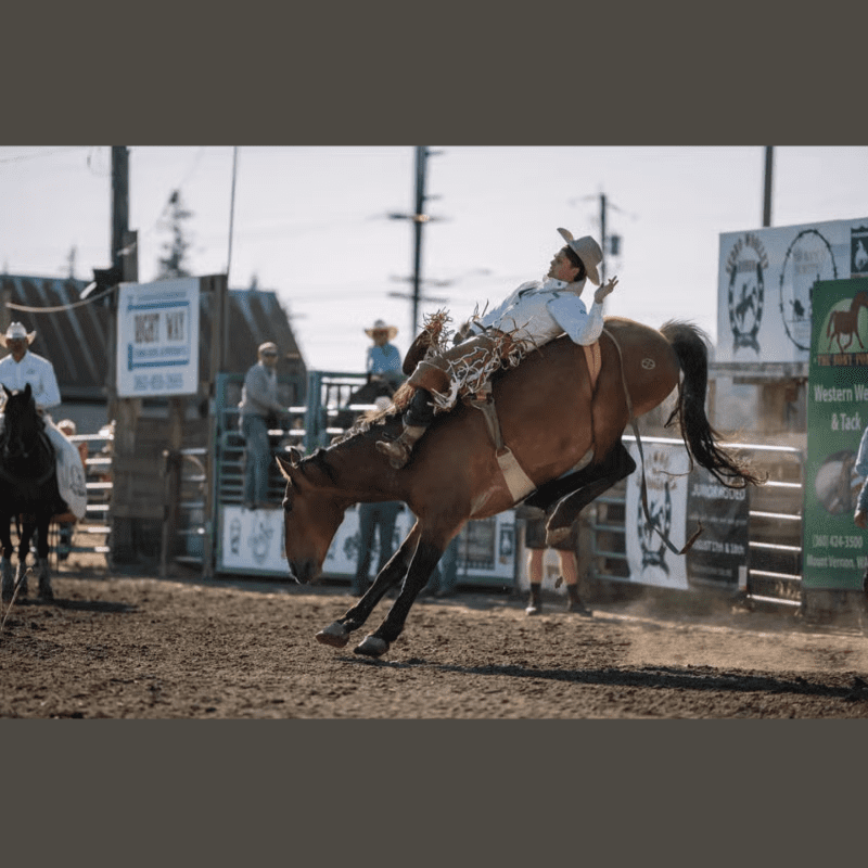 Carousel Image 1 (min 800x800px, max 1500x1500px)