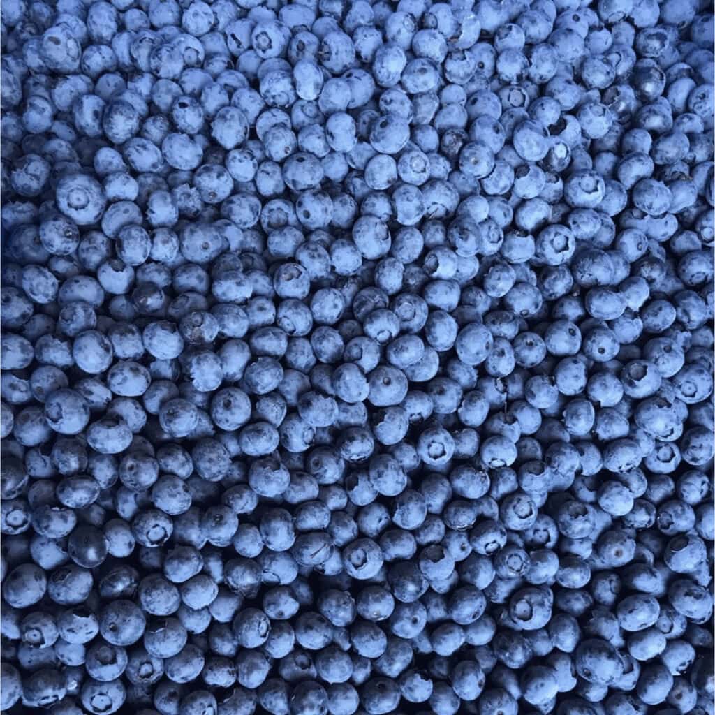 Beaver Marsh Blueberry Company Image