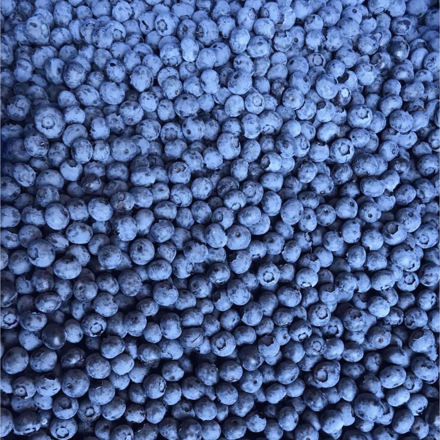 Main Image (min 800x800px, max 1500x1500px)