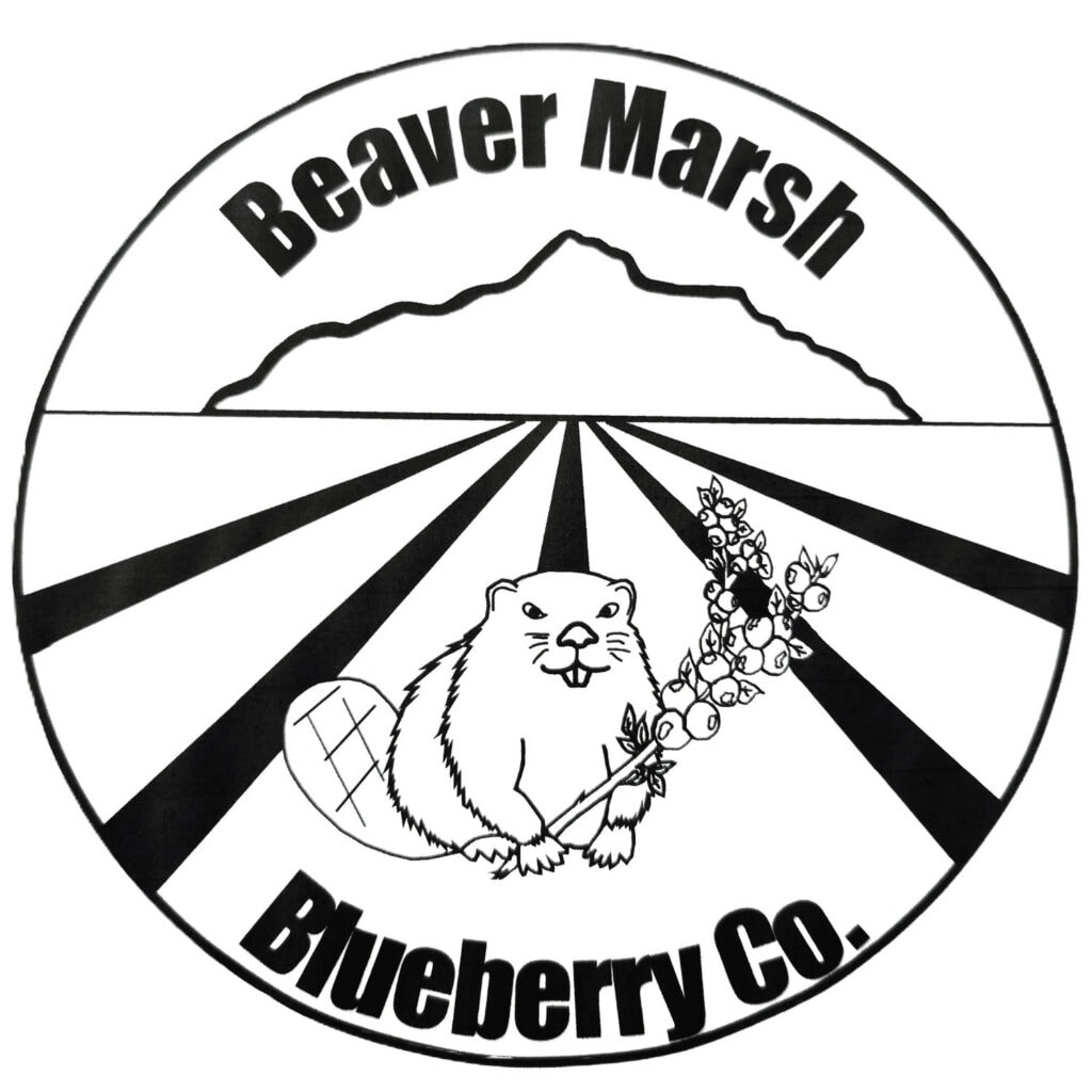 Logo Image (min 800x800px, max 1500x1500px)