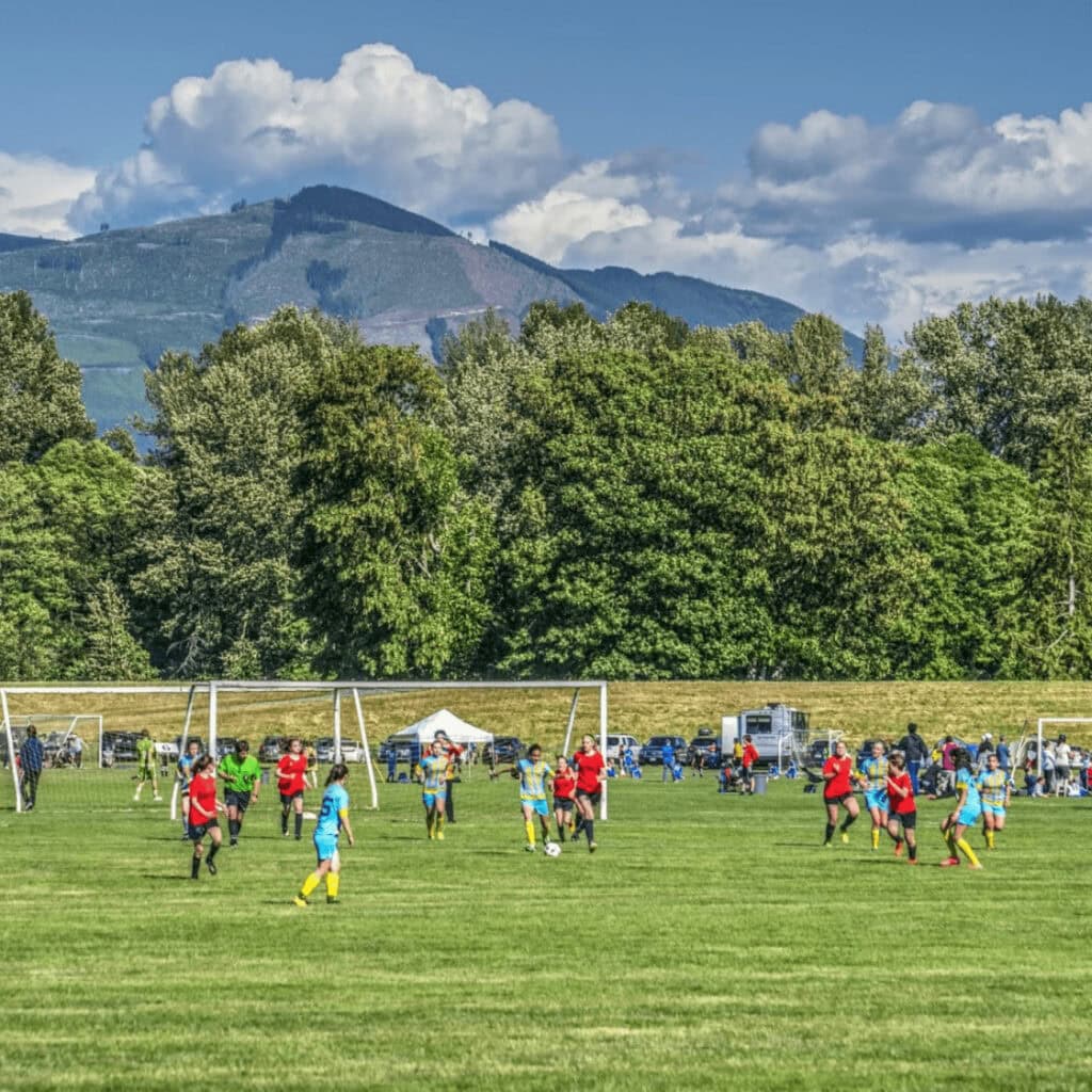Skagit Firecracker Image