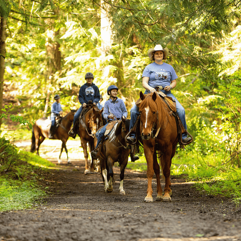 Lang's Horse & Pony Farm Image