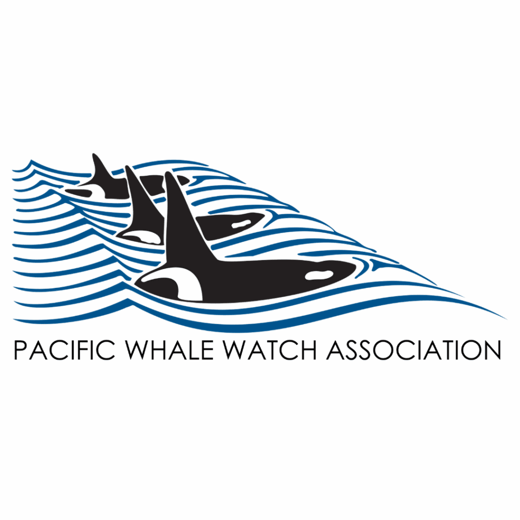 Logo Image (min 800x800px, max 1500x1500px)