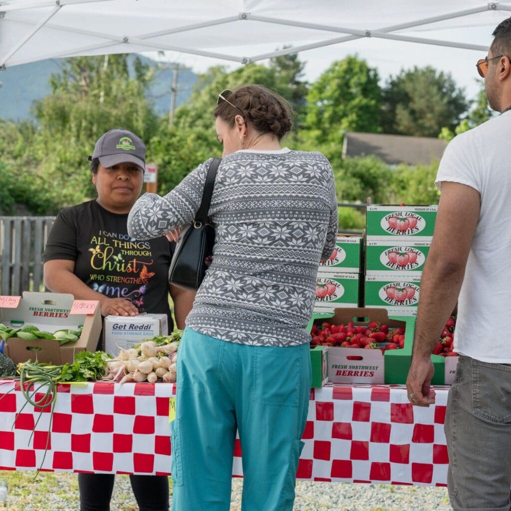 Terramarket Image