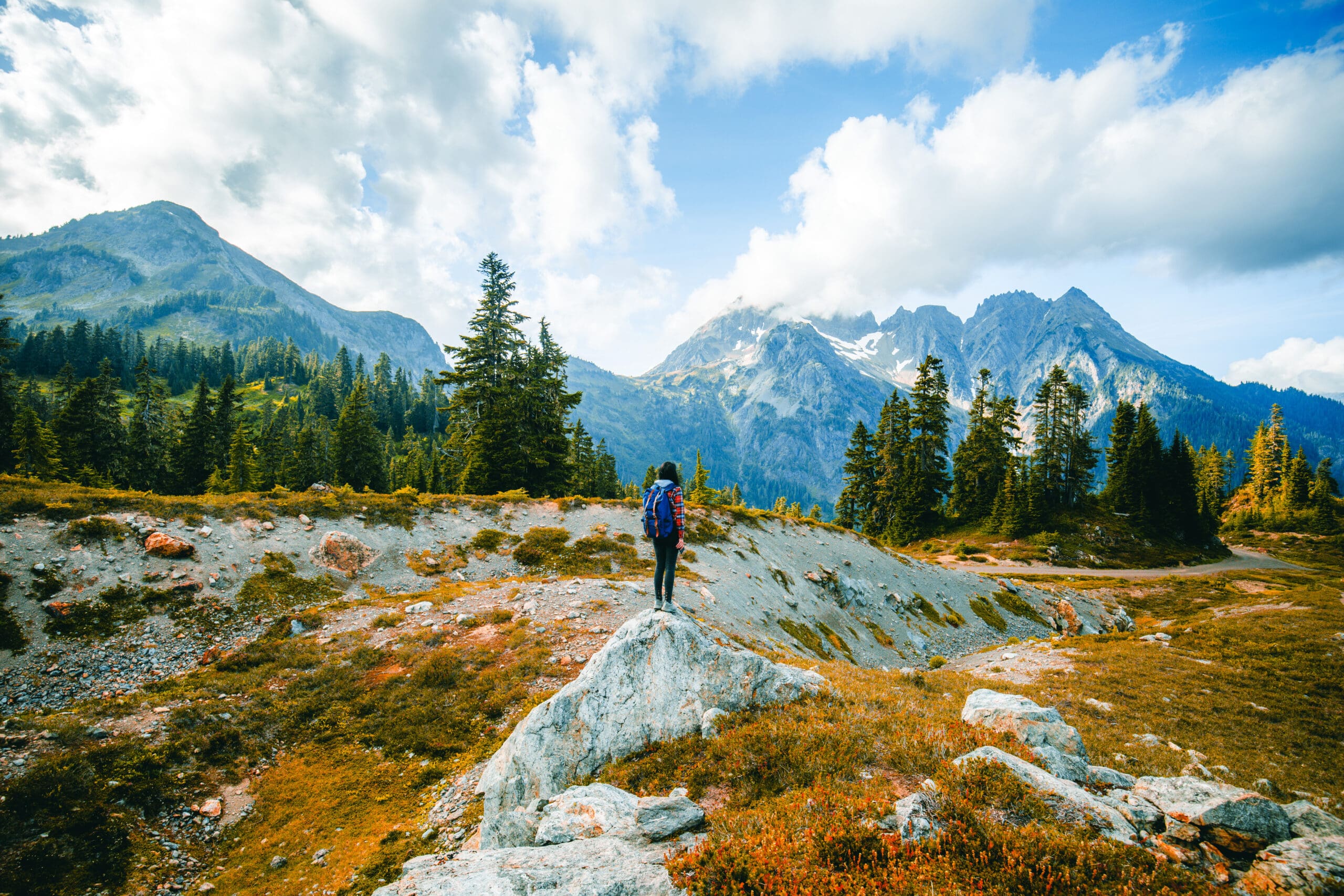 A Woman Hiker among Rocky Mountains on the Skagway Pass in North Cascades National Park, Washington. Farm Fresh Flowers