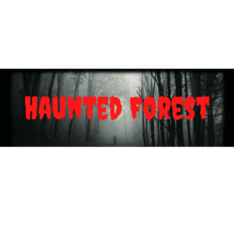 Haunted Forest Image