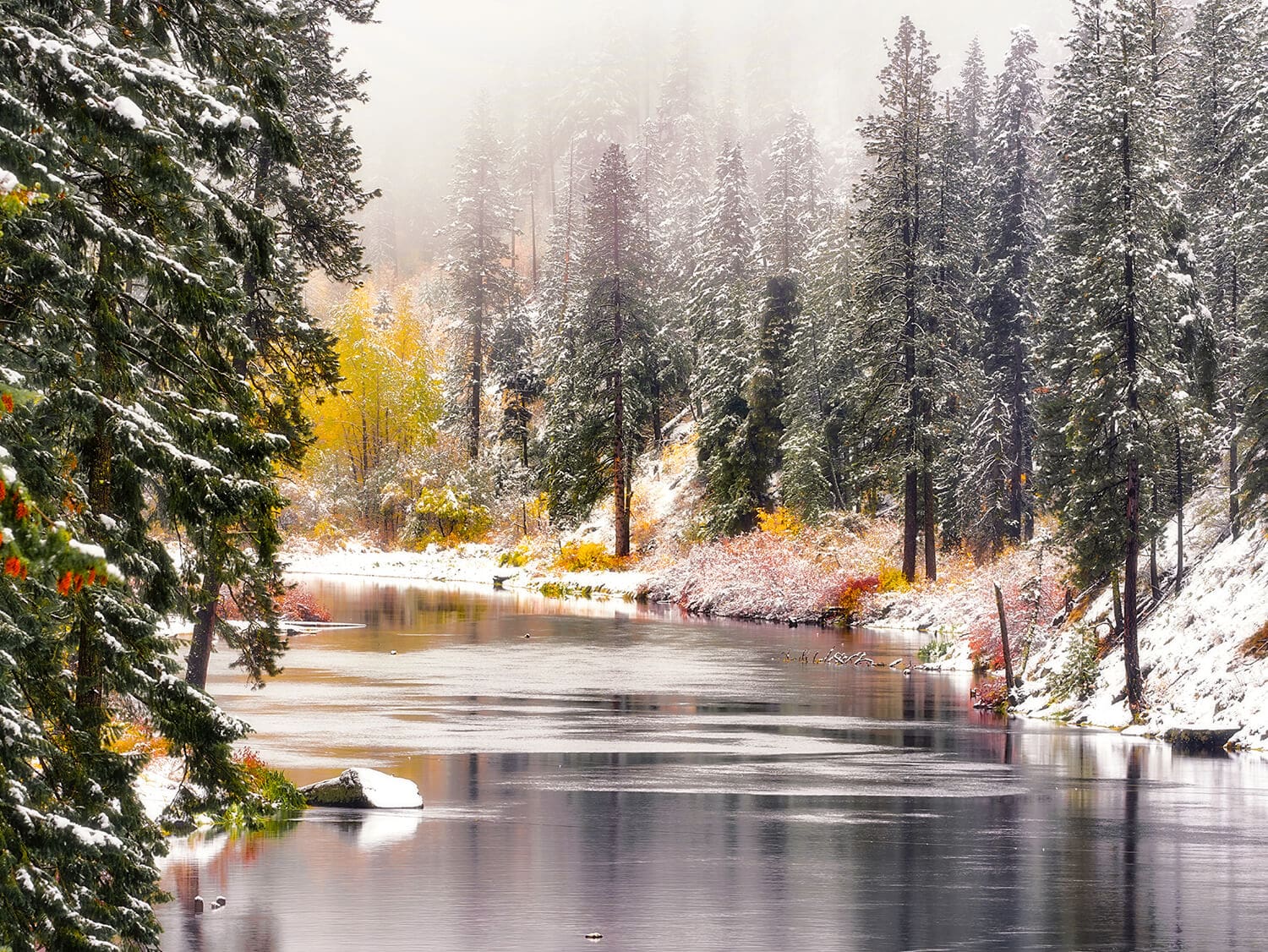 Winter Hiking in Skagit Valley
