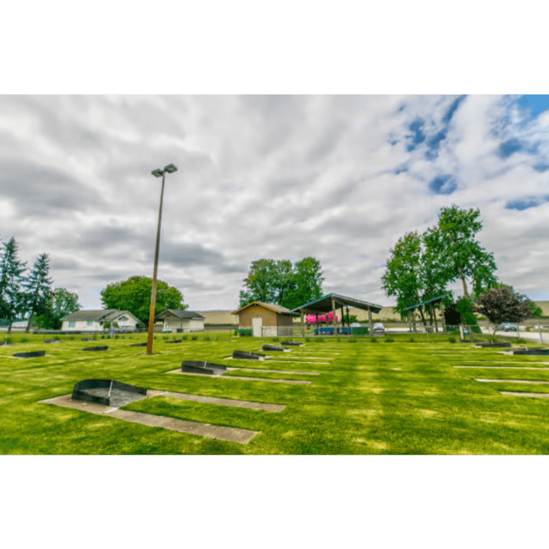 Strawberry Open Image