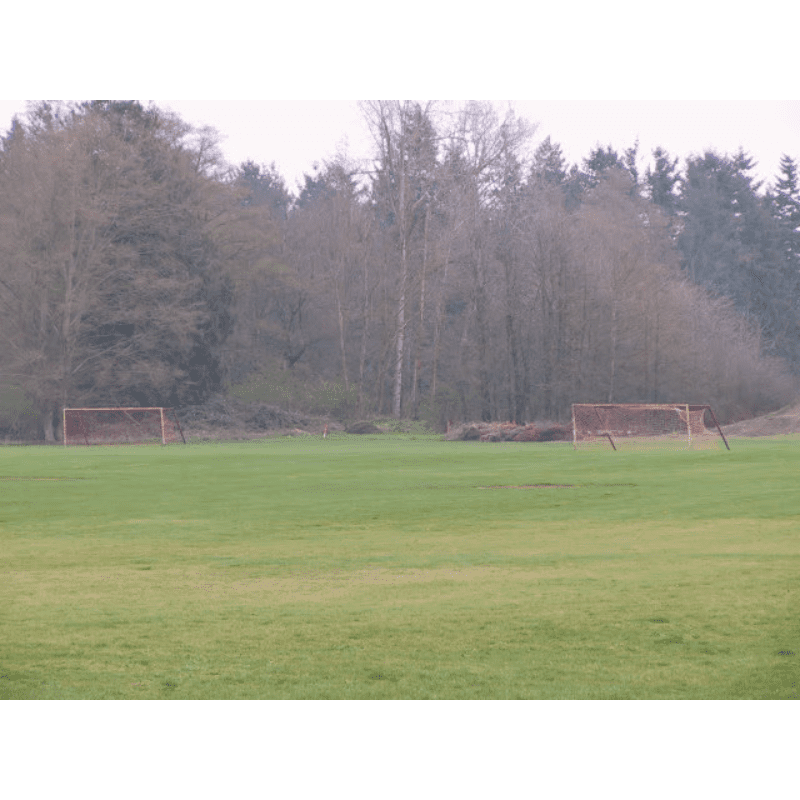 Carousel Image 4 (min 800x800px, max 1500x1500px)