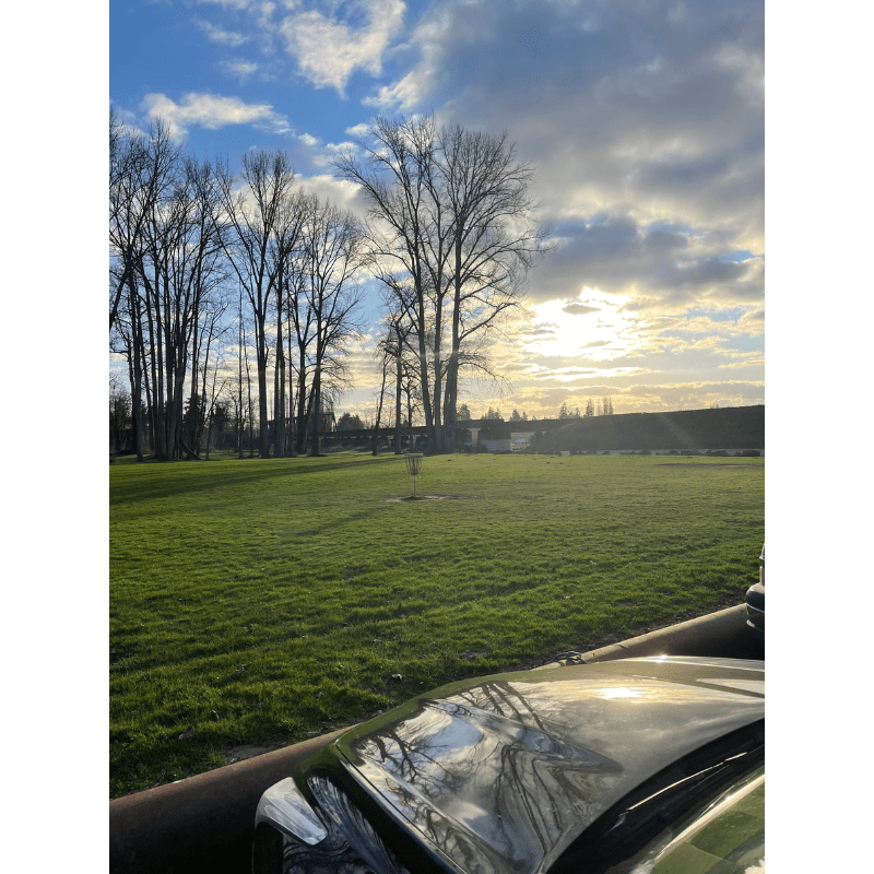 Wandering Through Whitmarsh Image