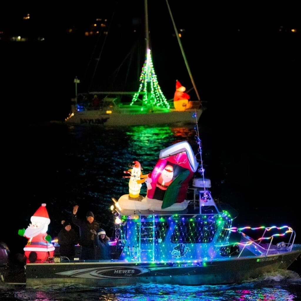 Carousel Image 5 (min 800x800px, max 1500x1500px)