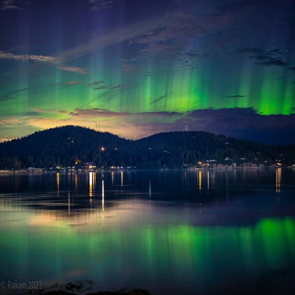 Carousel Image 3 (min 800x800px, max 1500x1500px)