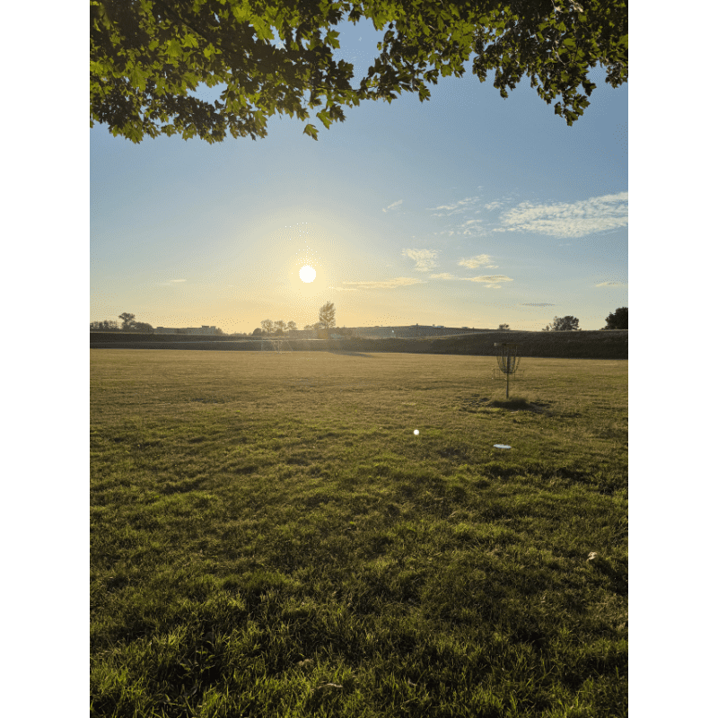 Wandering Through Whitmarsh Image