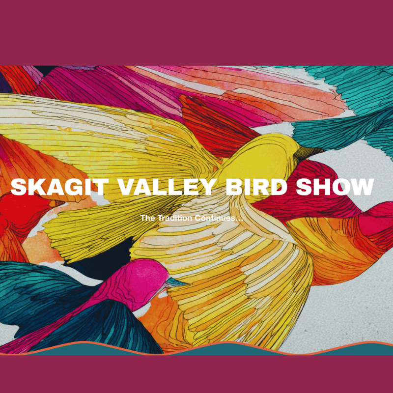 Skagit Valley Bird Show Image