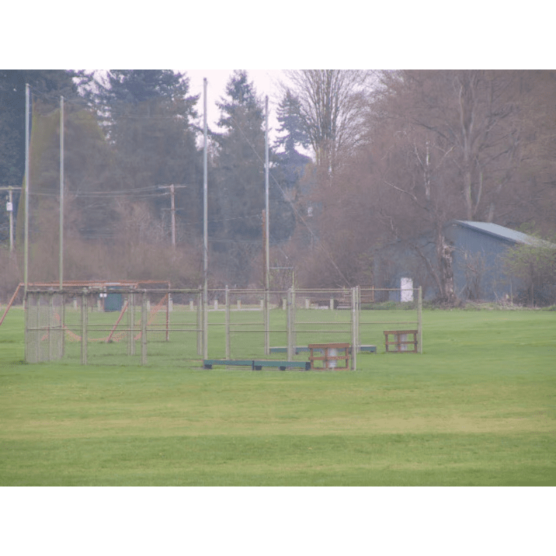 Carousel Image 5 (min 800x800px, max 1500x1500px)