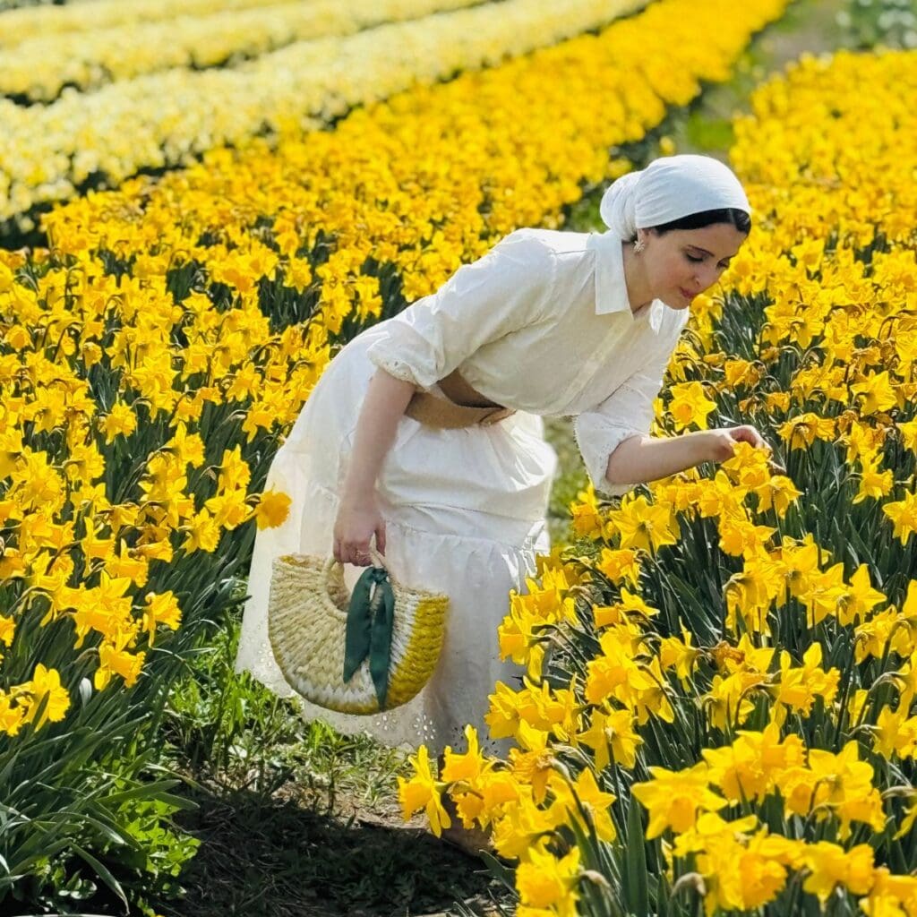 The Daffodil Festival at Tulip Valley Farms Image