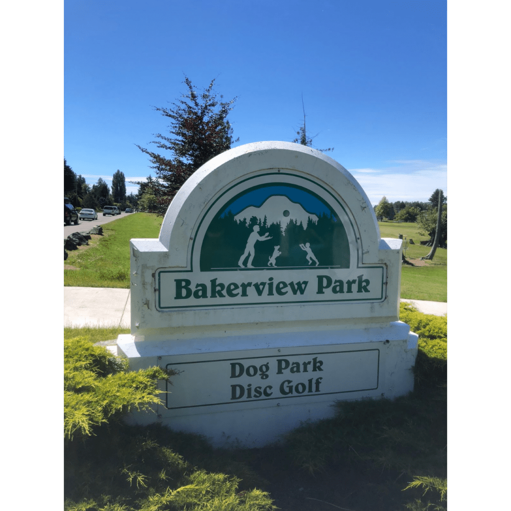 Logo Image (min 800x800px, max 1500x1500px)