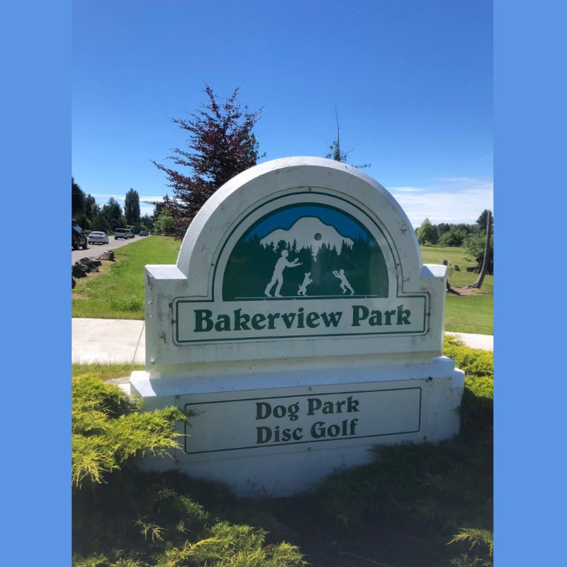 Logo Image (min 800x800px, max 1500x1500px)