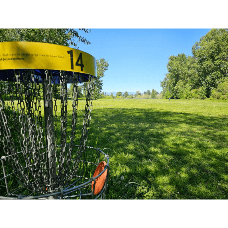 Carousel Image 2 (min 800x800px, max 1500x1500px)