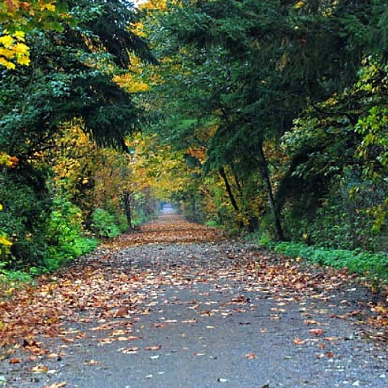 Cascade Trail Image