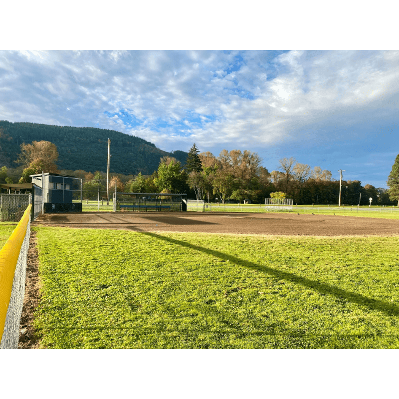 Carousel Image 5 (min 800x800px, max 1500x1500px)