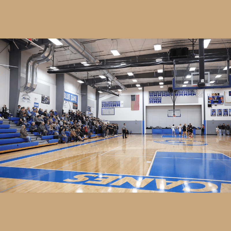 Carousel Image 3 (min 800x800px, max 1500x1500px)