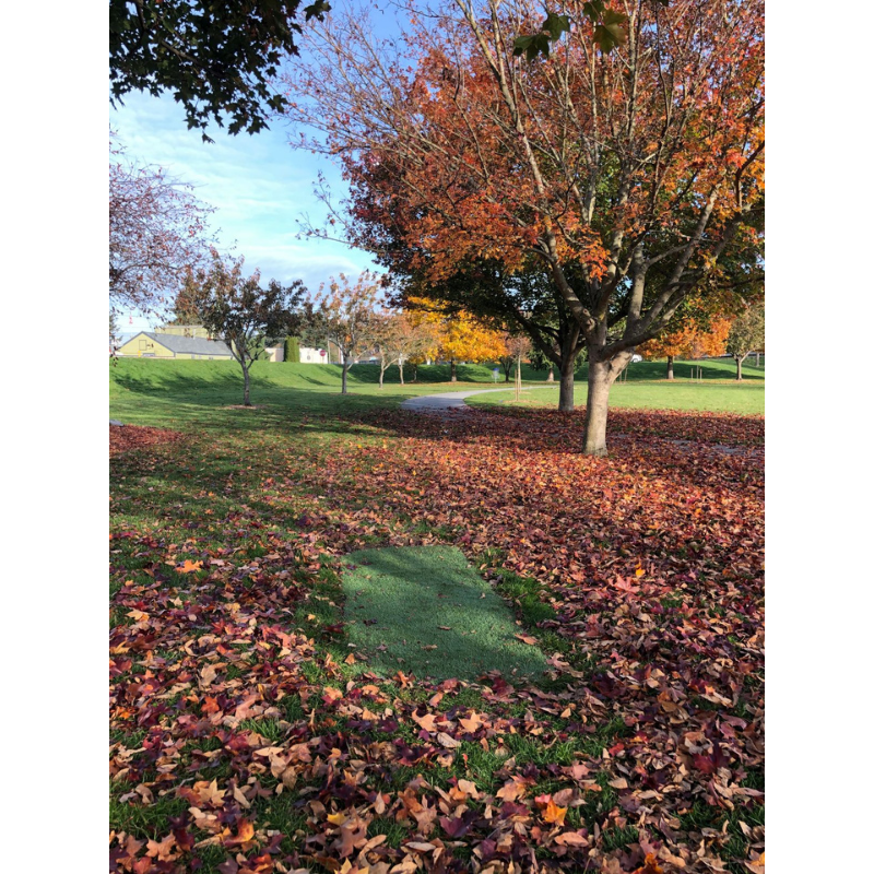 Carousel Image 1 (min 800x800px, max 1500x1500px)