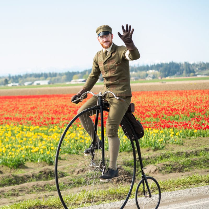 Dandy Daffodil Tweed Ride Image