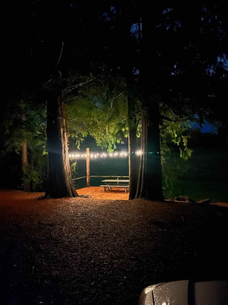 Carousel Image 4 (min 800x800px, max 1500x1500px)