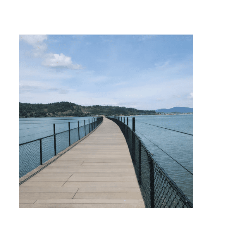 Carousel Image 2 (min 800x800px, max 1500x1500px)