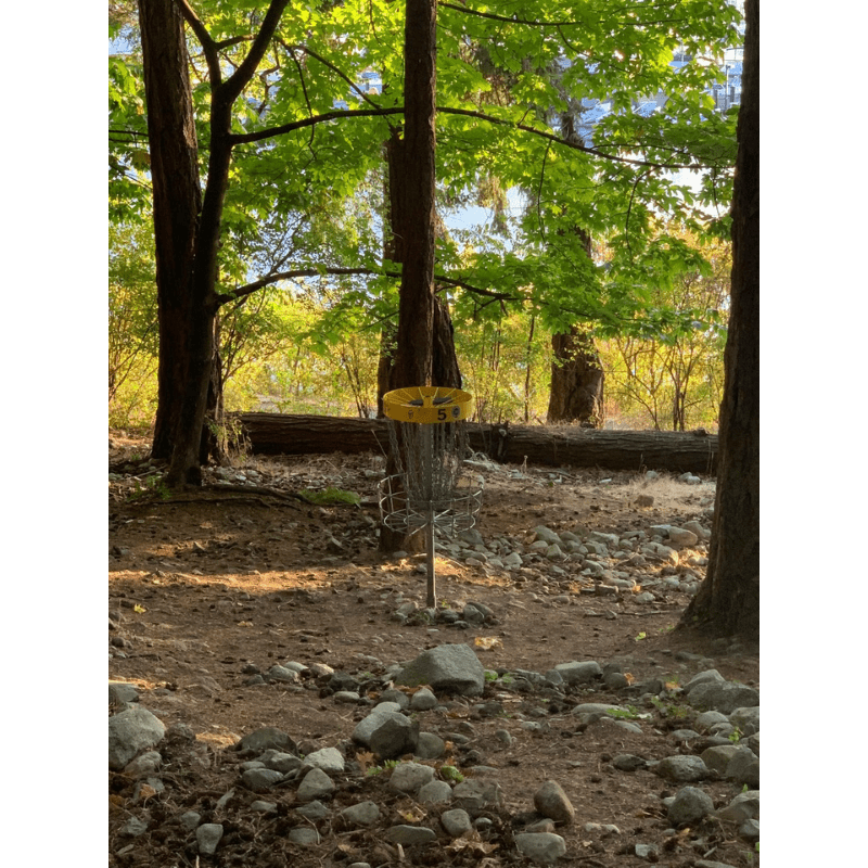 Carousel Image 2 (min 800x800px, max 1500x1500px)