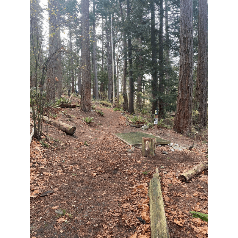 Carousel Image 3 (min 800x800px, max 1500x1500px)