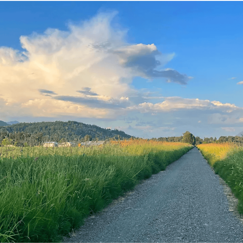 Willowbrook Water Tank - Walk , Bike, Run Image