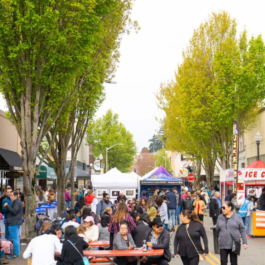 Tulip Festival Street Fair Image