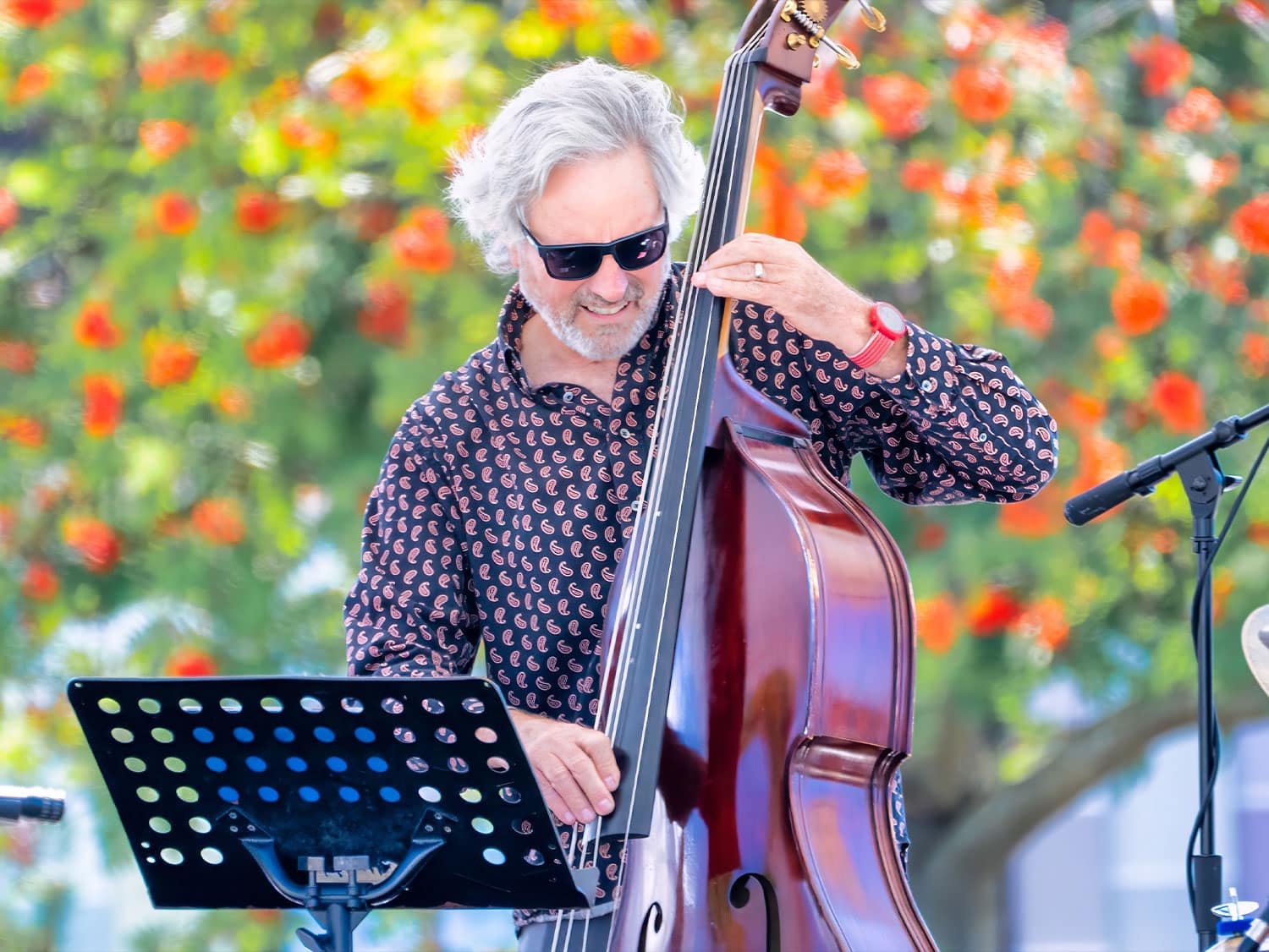 A musician plays upright bass at an outdoor festival in Anacortes, Washington, with vibrant orange flowering trees in the background.