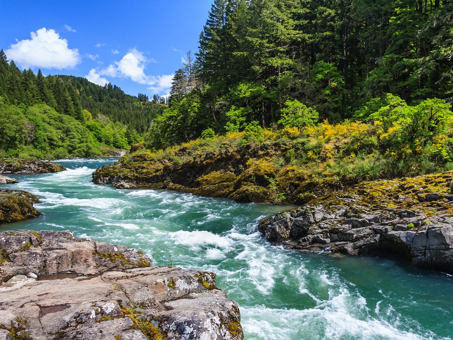 urquoise whitewater rapids rush through a rocky canyon surrounded by lush evergreen forest in North Cascades National Park, Washington.