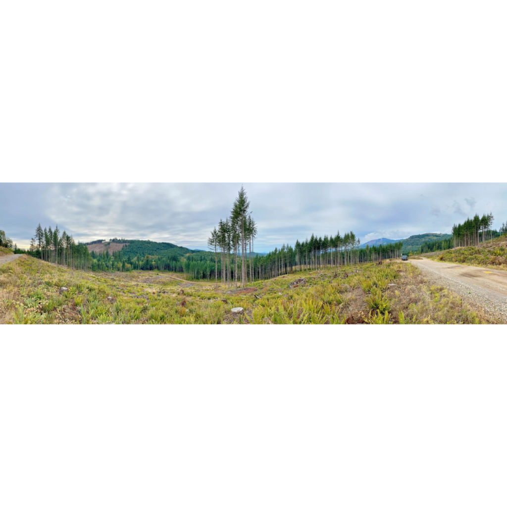 Walker Valley Off Road Trails Image