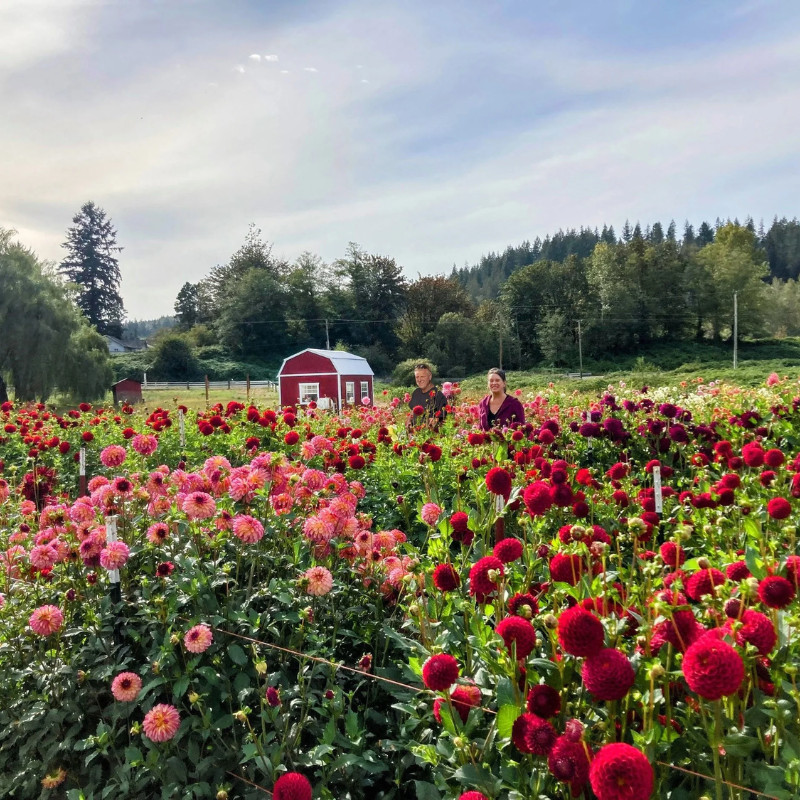 Valley View Farm Stand Image