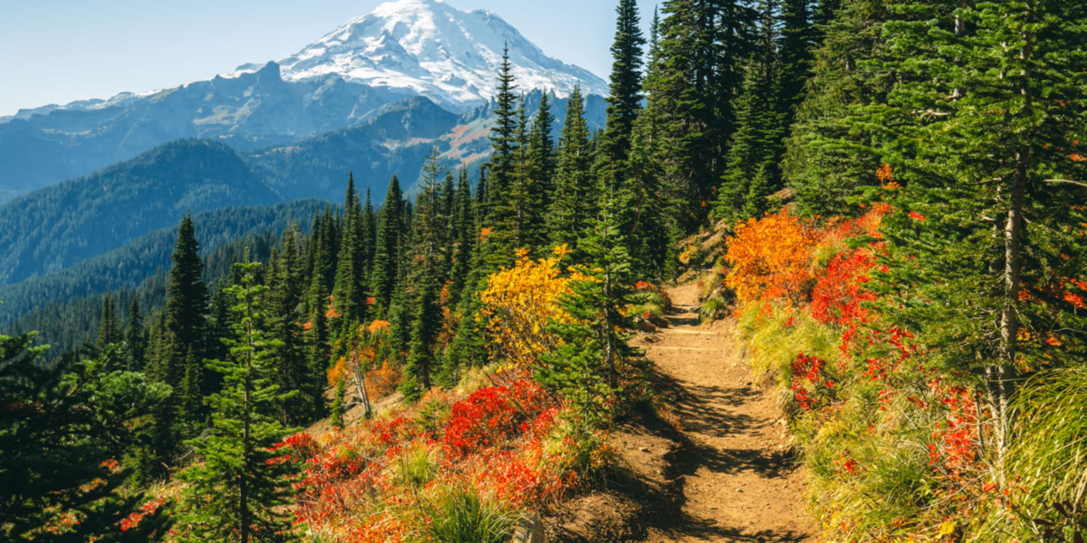 FallTrails2200x1100 Mount Rainier view from Naches Peak Loop Trail, autumn colors in Mt. Rainier National Park