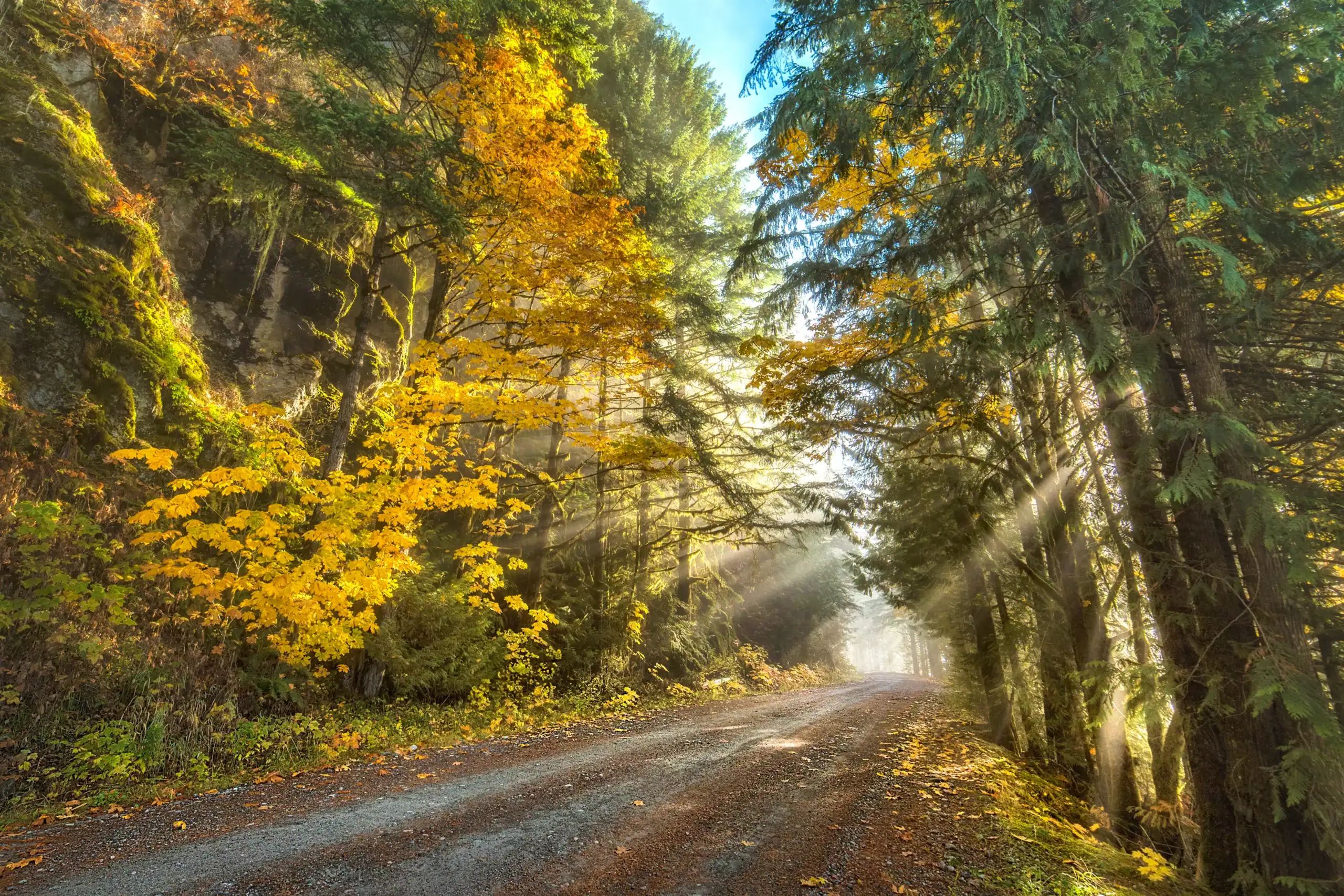 Fall drive